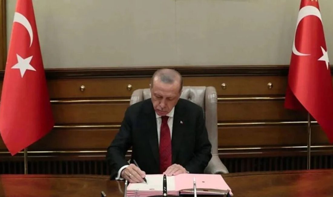 Cumhurbaşkanı Recep Tayyip Erdoğan'ın