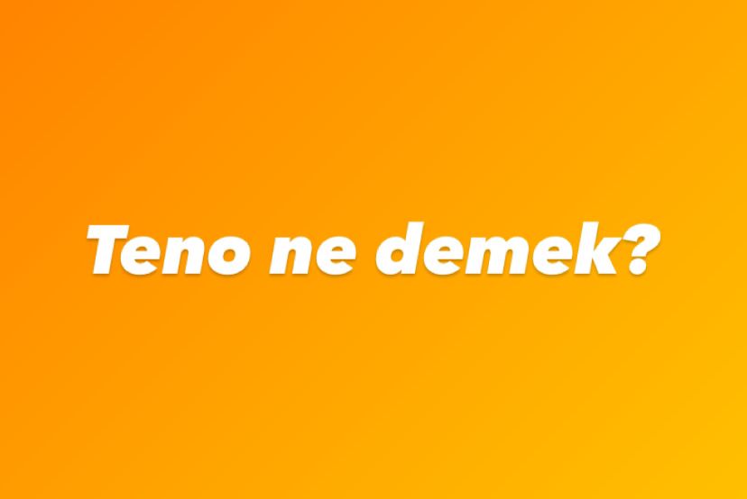 Kürtçe’de “teno” kelimesinin anlamı