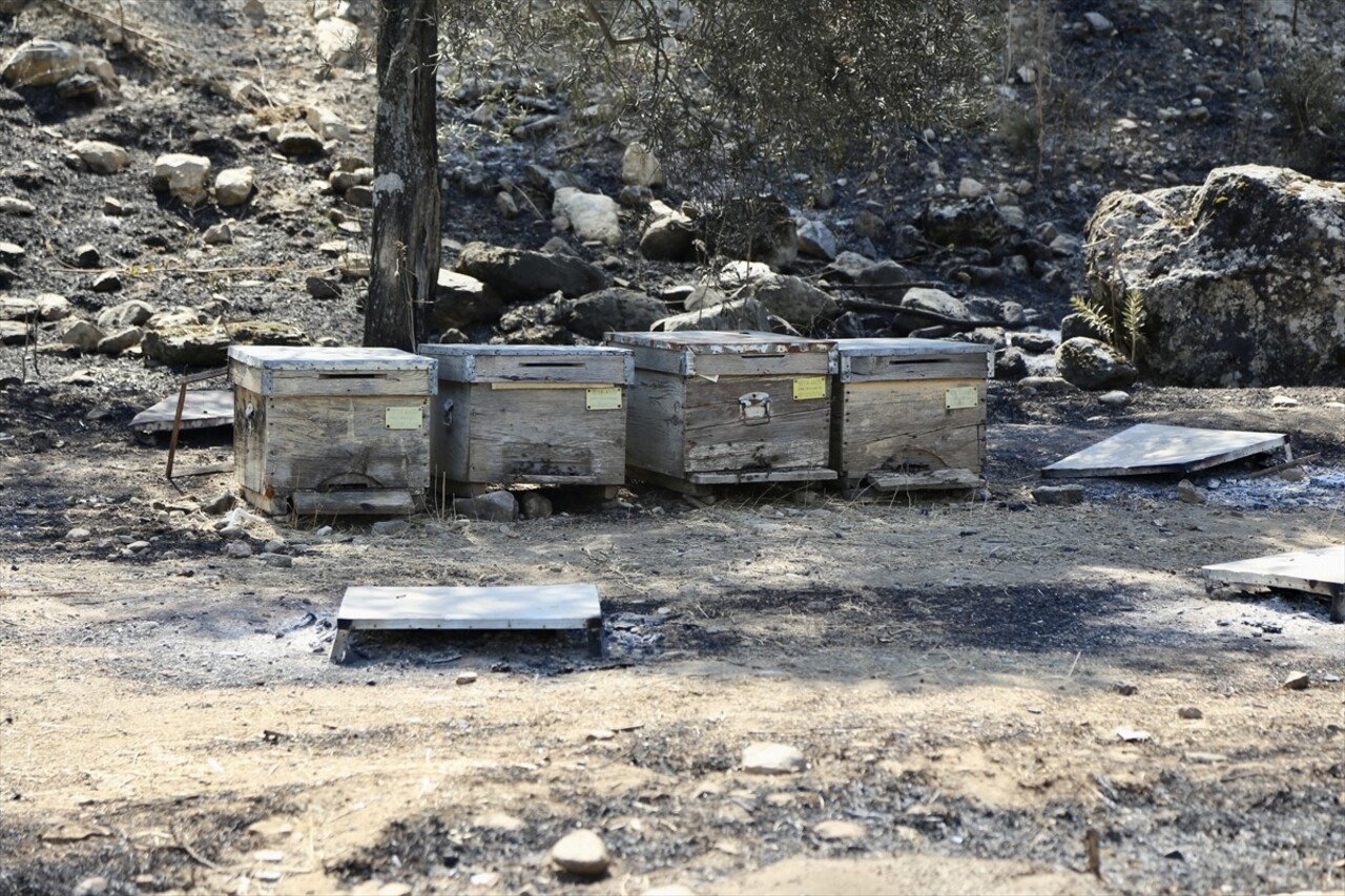 Muğla'nın Yatağan ilçesinde çıkan orman yangınıyla ilgili gözaltına alınan baba ile oğlu adliyeye...