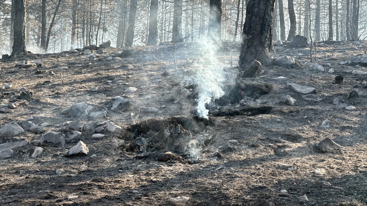 Çankırı'nın Ilgaz ilçesinde çıkan orman yangınını söndürme çalışmaları devam etti. Yangında 44...