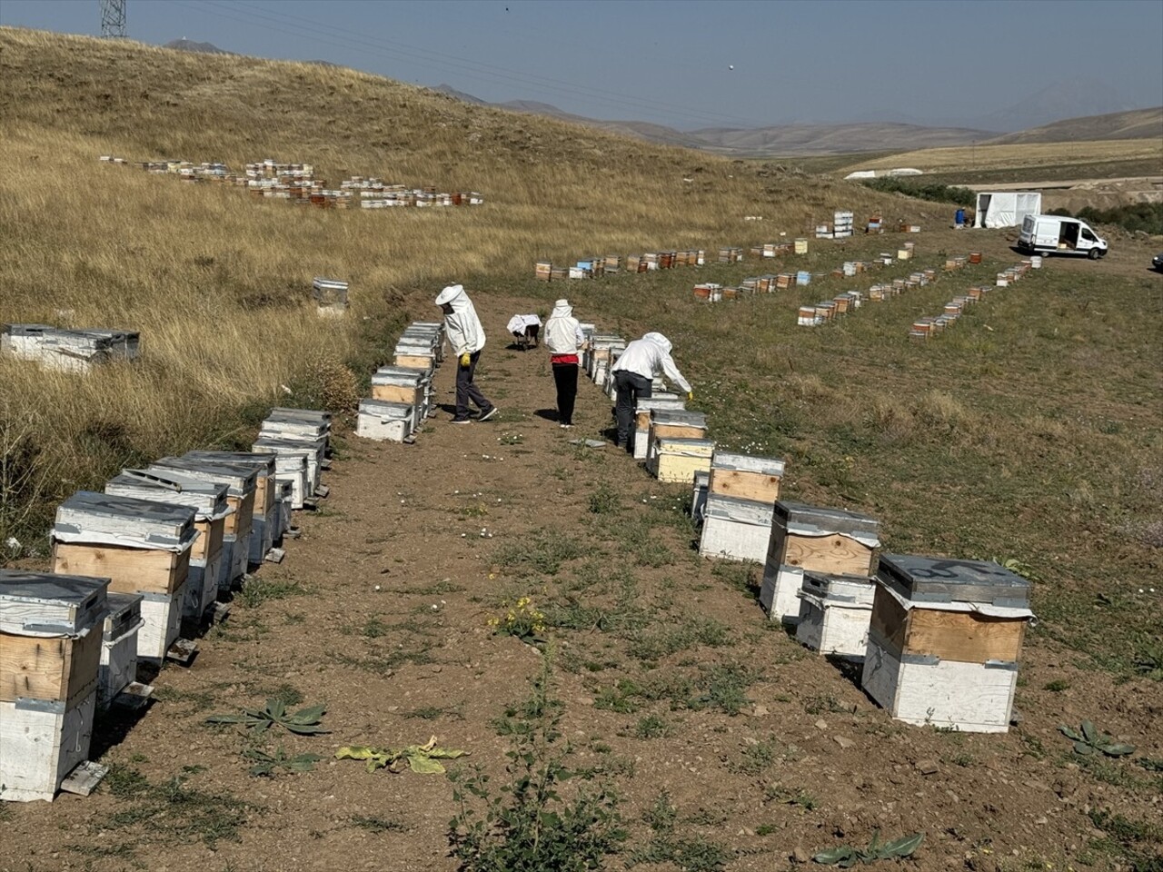 Türk Kızılay Ağrı Şubesi'nin 60 kovanda ürettiği yaklaşık 1,5 tonluk balın, bir kısmı şifa...