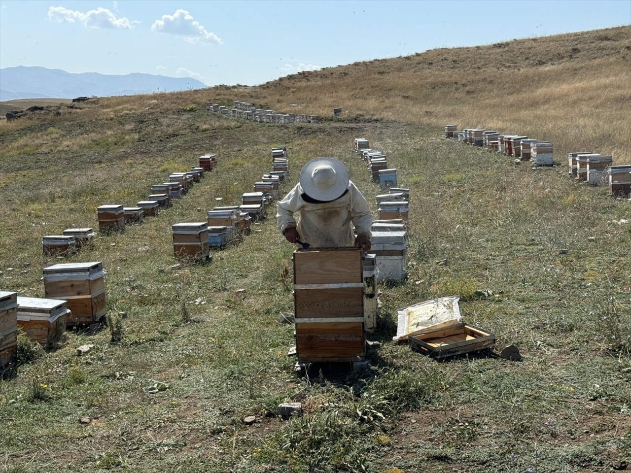 Türk Kızılay Ağrı Şubesi'nin 60 kovanda ürettiği yaklaşık 1,5 tonluk balın, bir kısmı şifa...