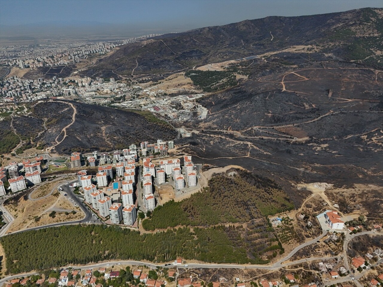 İzmir, Aydın, Manisa ve Uşak'ta ekiplerin aralıksız mücadele ettiği orman yangınları sonrası yeşil...