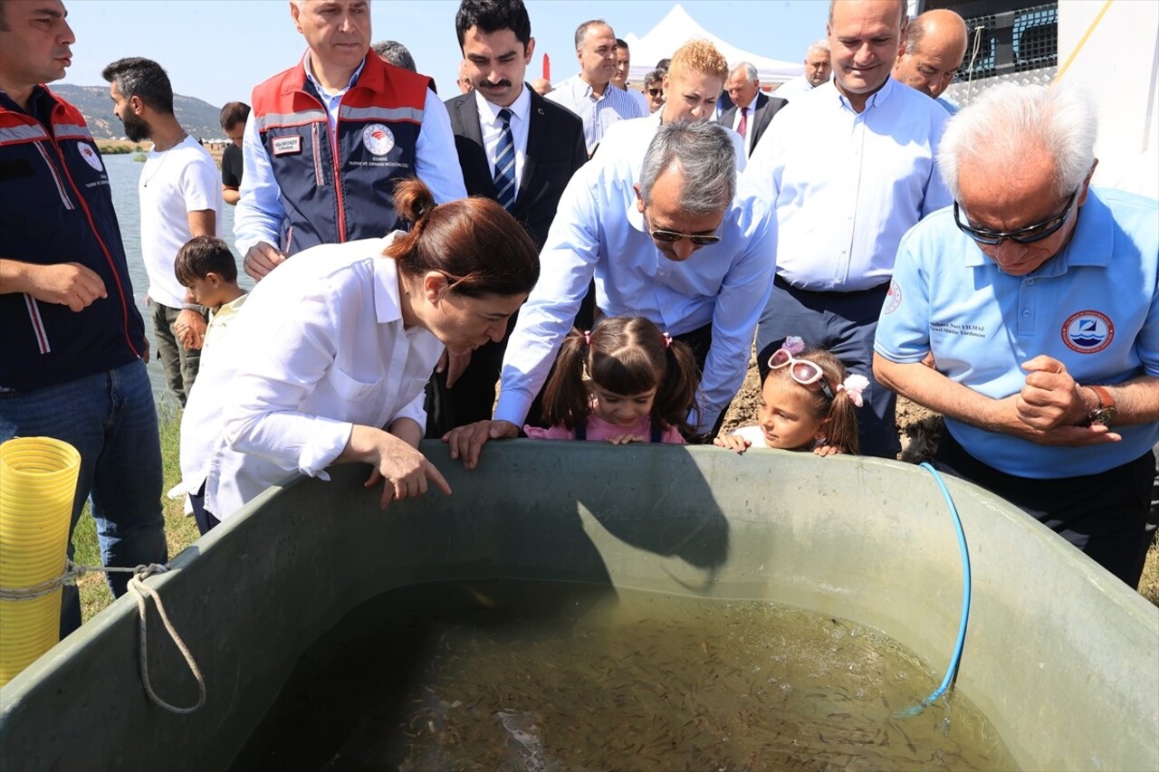 Edirne'nin İpsala ilçesindeki Su Ürünleri Üretim İstasyonu'nda bu yıl yetiştirilen 10 milyon yavru...