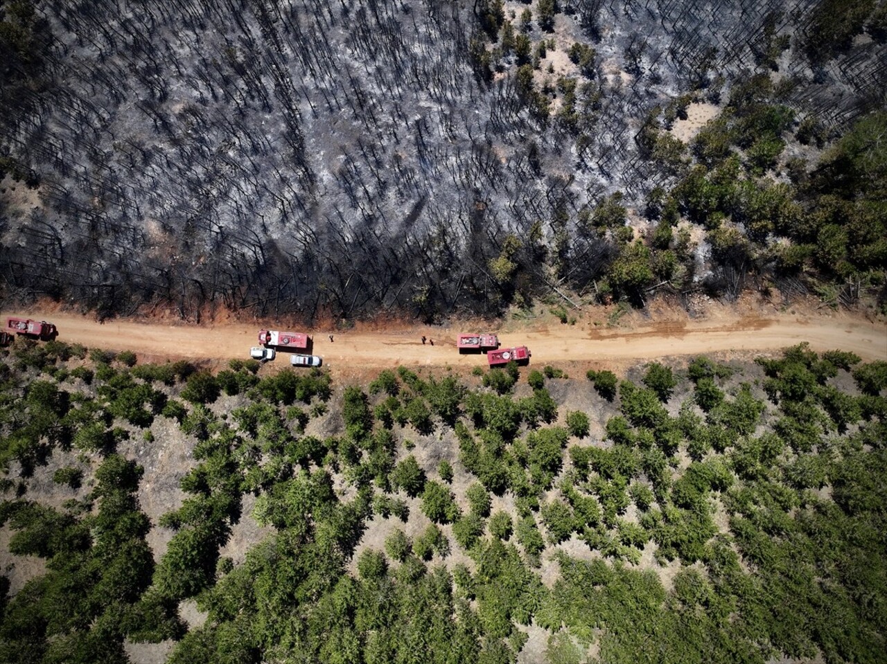 Çankırı'nın Ilgaz ilçesinde çıkan orman yangını kontrol altına alındı. Ekiplerin bölgede soğutma...