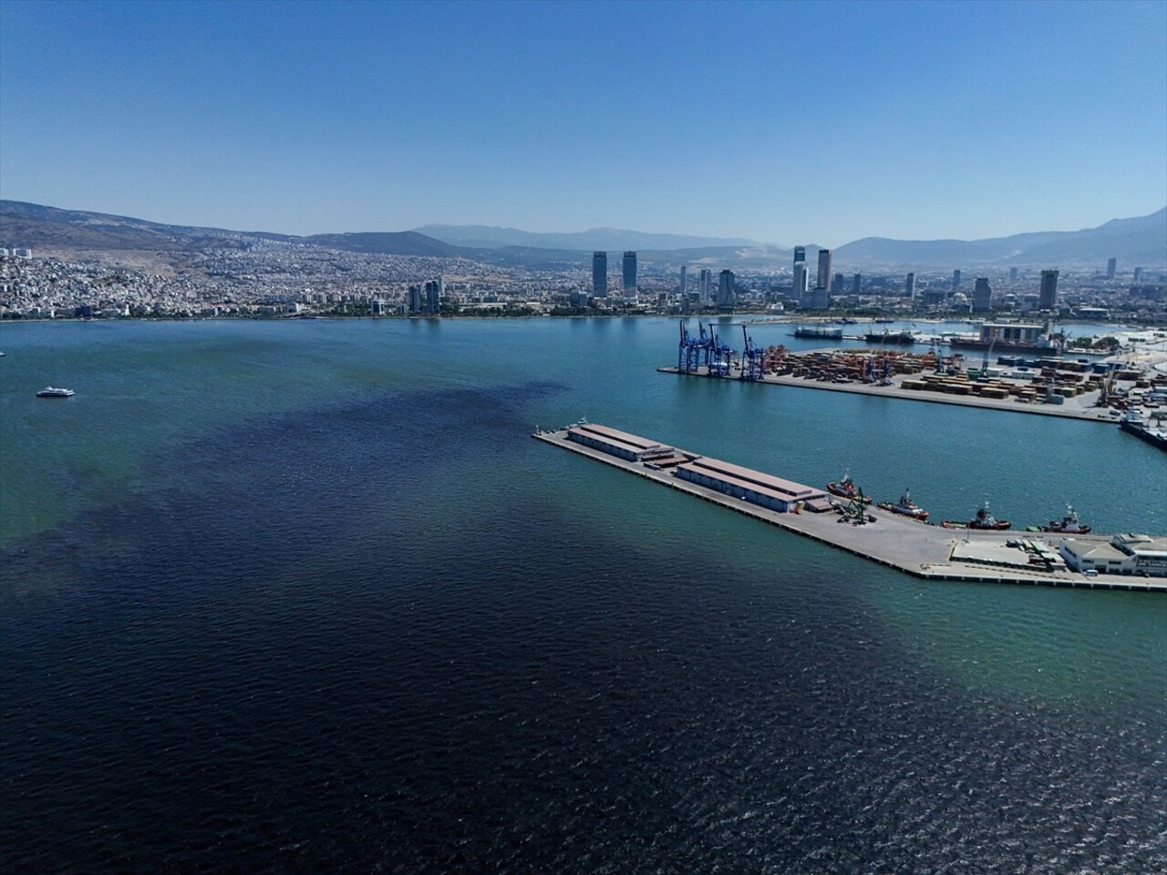 Çevre, Şehircilik ve İklim Değişikliği Bakanlığı ekipleri, İzmir Körfezi'nde meydana gelen balık...