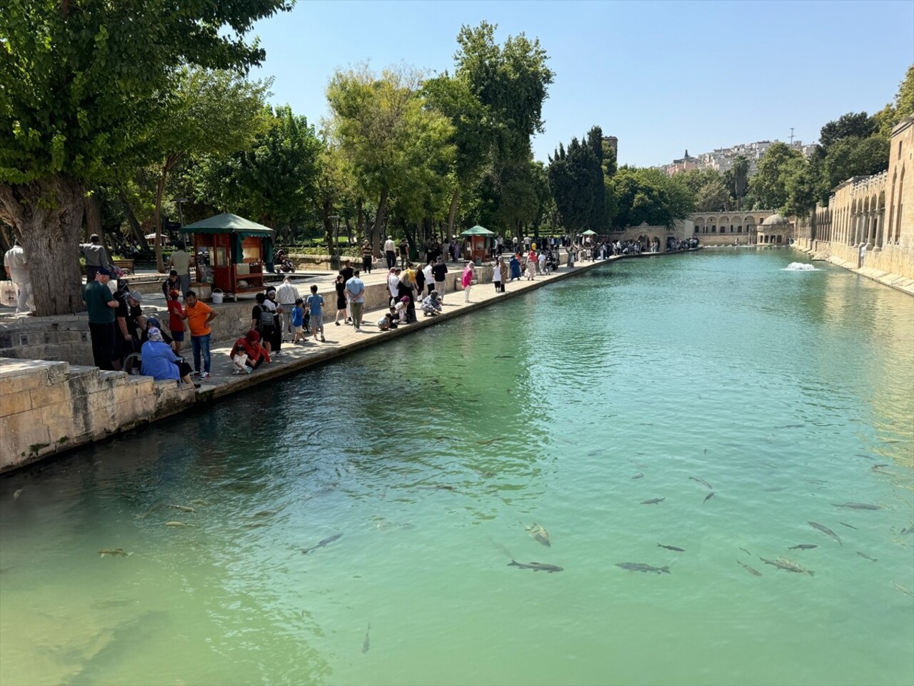 Şanlıurfa'da sıcak hava, hayatı olumsuz etkilemeye devam ediyor. Kent sakinleri, parklarda ve...