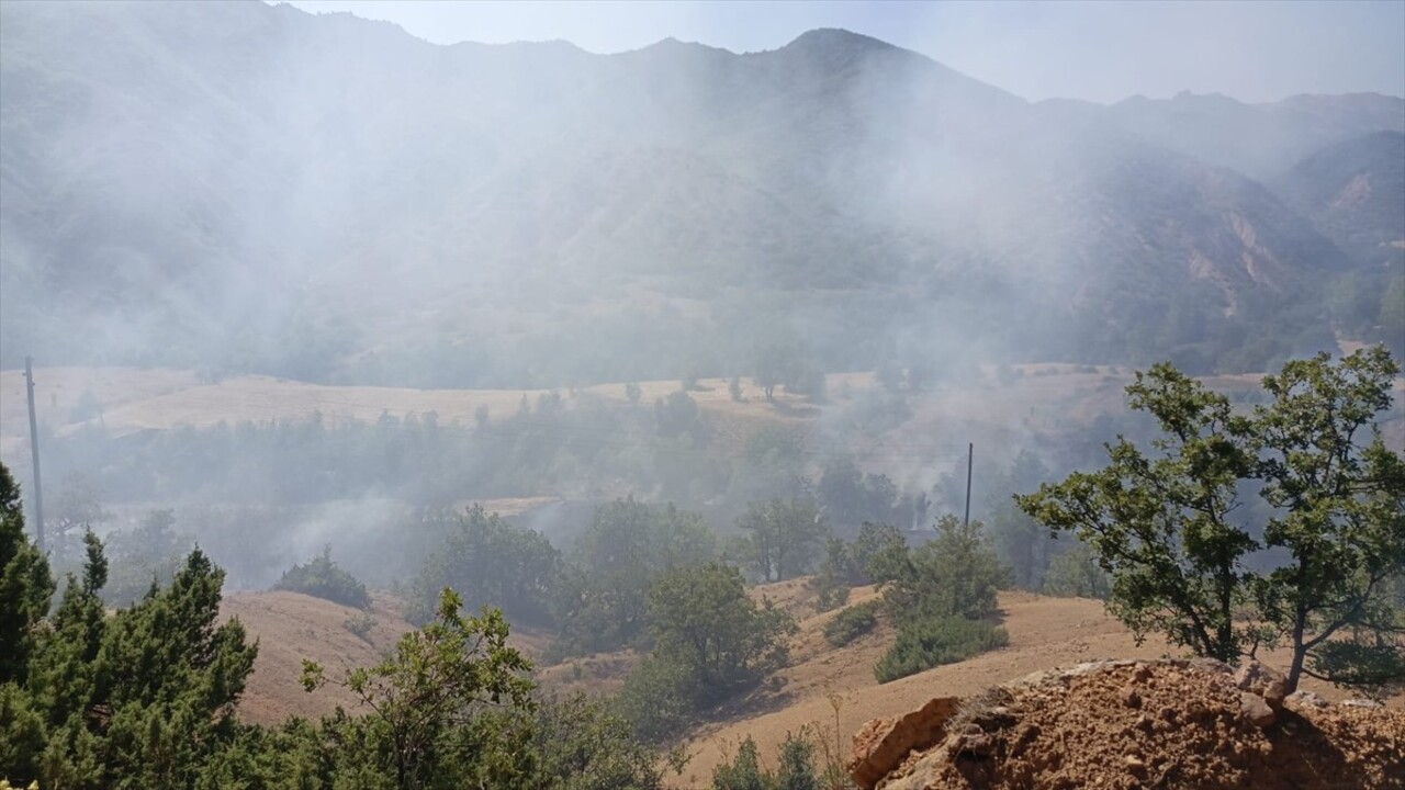 Tunceli'de ormanlık alanda çıkan yangının söndürülmesi için çalışma başlatıldı.