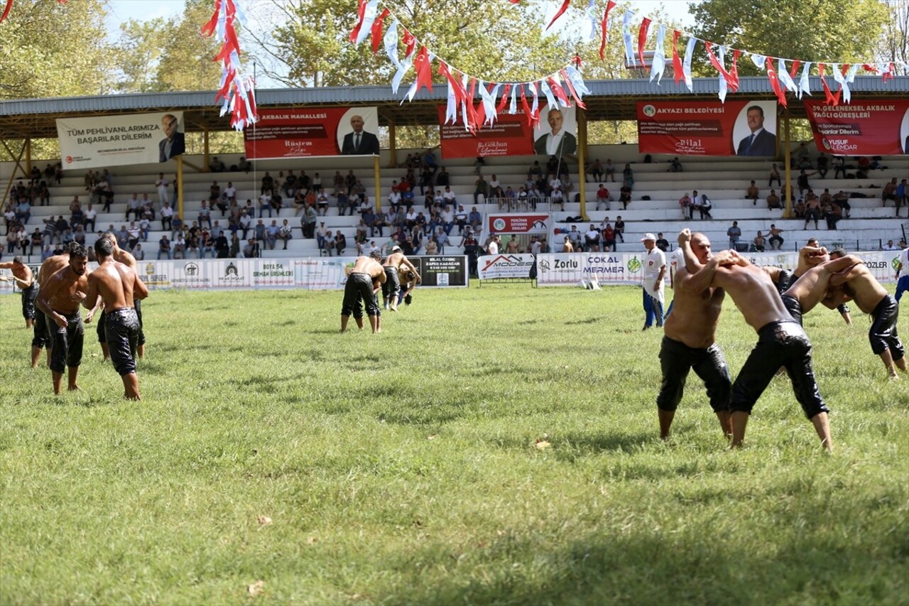 Sakarya'da Akyazı Belediyesince düzenlenen 59. Akbalık Yağlı Güreşleri'nde 14 kategoride 20'si...