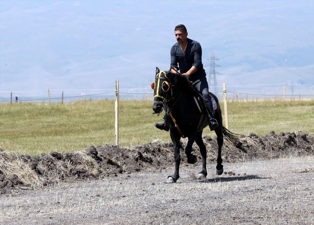 Ardahan'da Geleneksel Atlı Spor Dalları Federasyonunca organize edilen, rahvan at kültürünü...