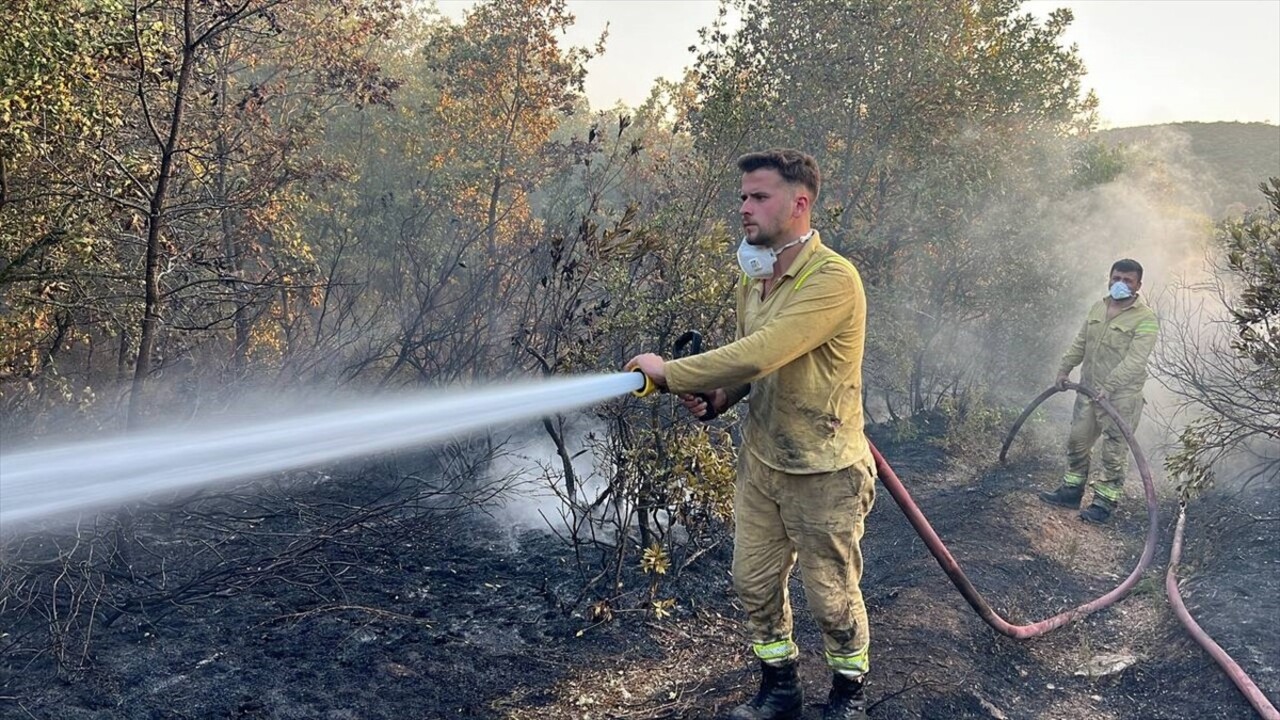 Kocaeli'nin Gebze ilçesinde ormanlık alanda çıkan yangın ekiplerin müdahalesiyle söndürüldü....