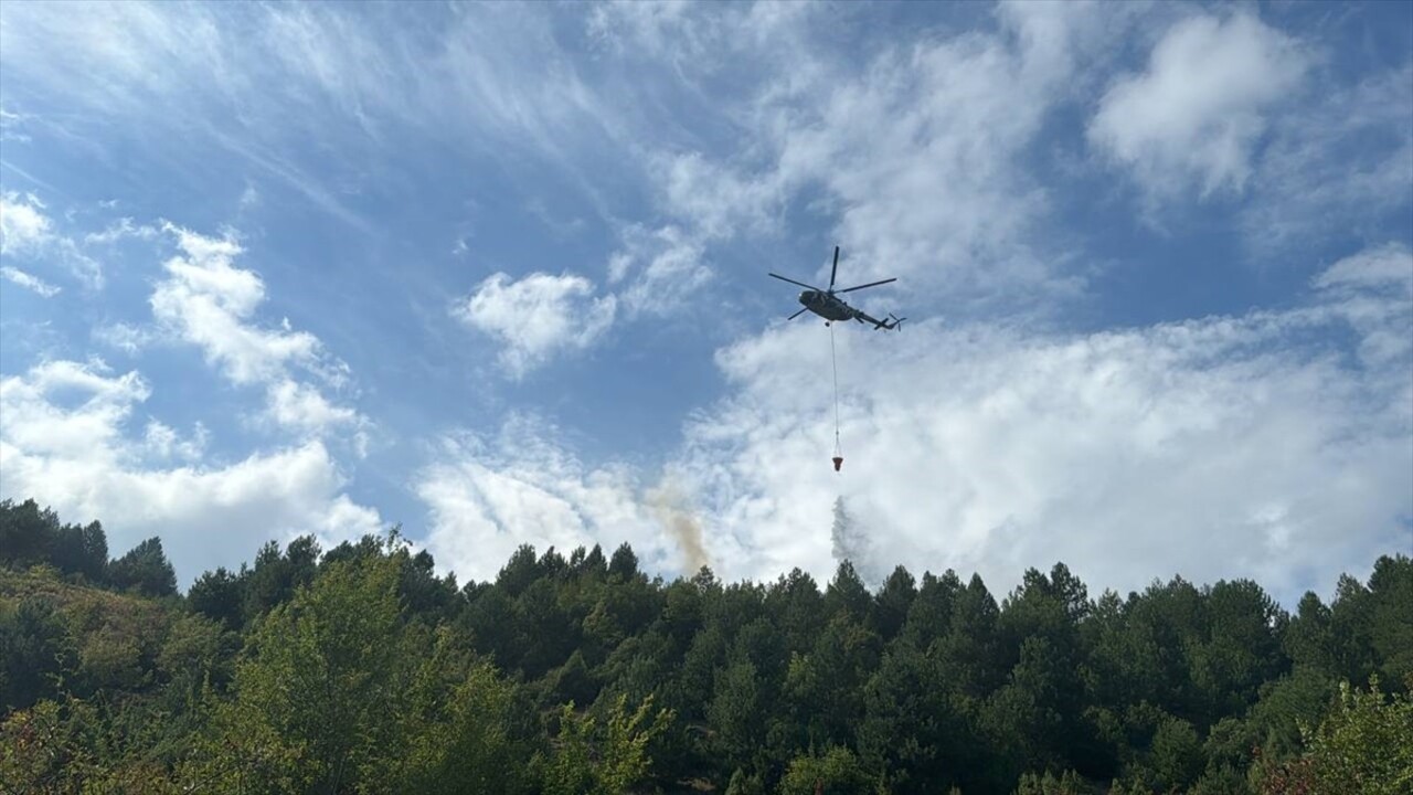 Zonguldak'ın Devrek ilçesinde ormanlık alanda çıkan yangın kontrol altına alındı, soğutma...