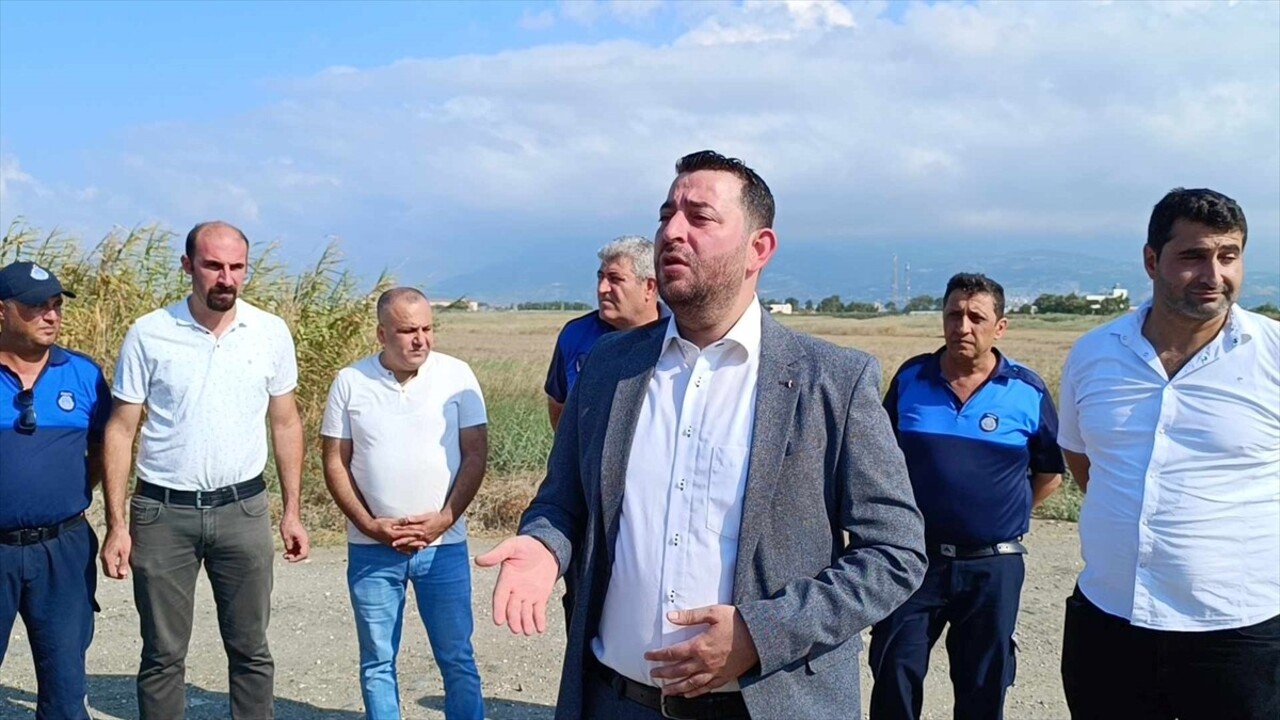 Hatay'ın Samandağ ilçesinde, "Mahalli Öneme Haiz Sulak Alan" olarak tescil edilen ve yüzlerce kuş...