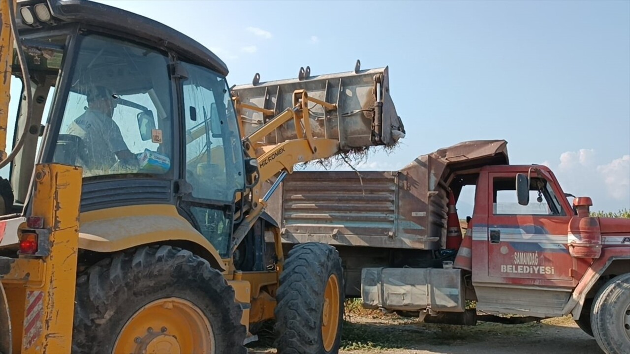 Hatay'ın Samandağ ilçesinde, "Mahalli Öneme Haiz Sulak Alan" olarak tescil edilen ve yüzlerce kuş...