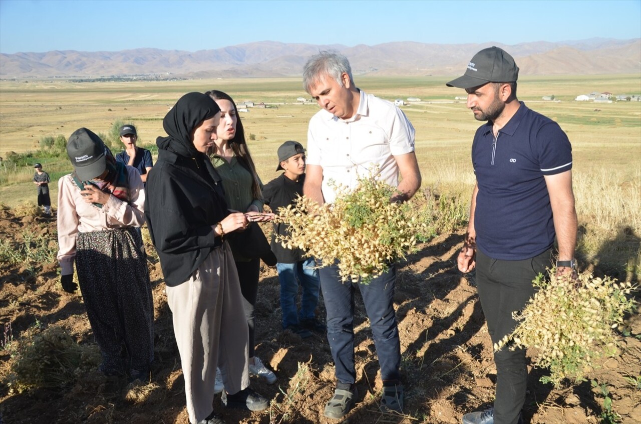 Hakkari'nin Yüksekova ilçesinde DEMETER Tarımsal Kalkınma ve Kadın Kooperatifi üyeleri, ekimini...