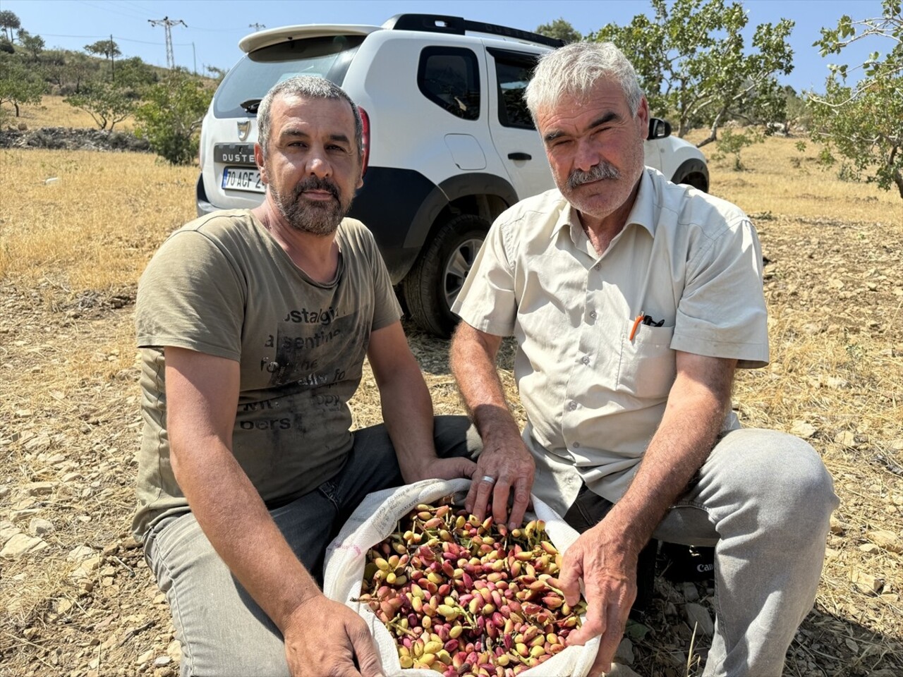 Karaman'da Akdeniz iklimine yakın hava şartlarının yaşandığı Nunu Vadisi'nde bulunan Çukur köyünde...