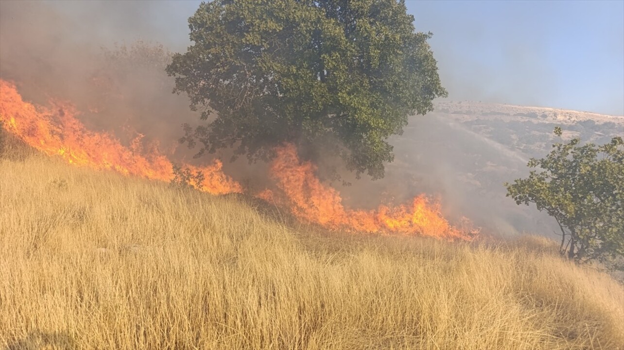 Tunceli'nin Çemişgezek ilçesinde otluk alanda çıkan yangın itfaiye ekiplerinin müdahalesiyle...