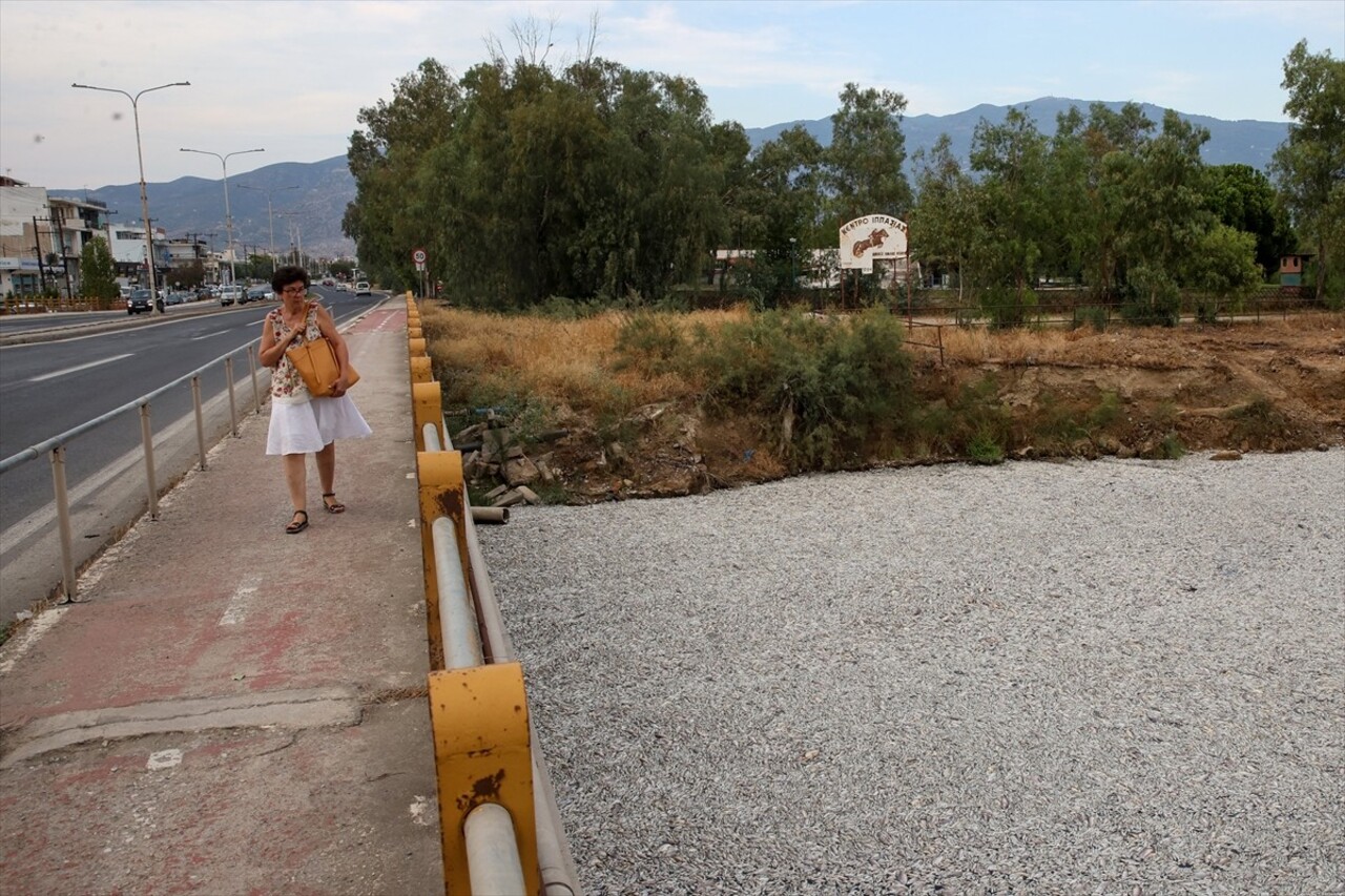 Yunanistan'ın orta kesiminde bulunan Volos kentinde 27 Ağustos'ta binlerce ölü balığın deniz...