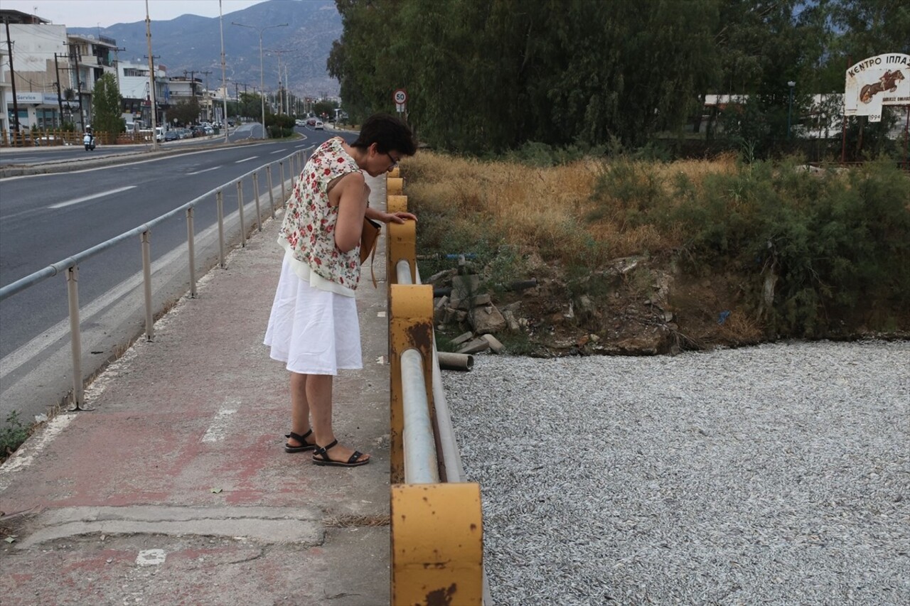 Yunanistan'ın orta kesiminde bulunan Volos kentinde 27 Ağustos'ta binlerce ölü balığın deniz...