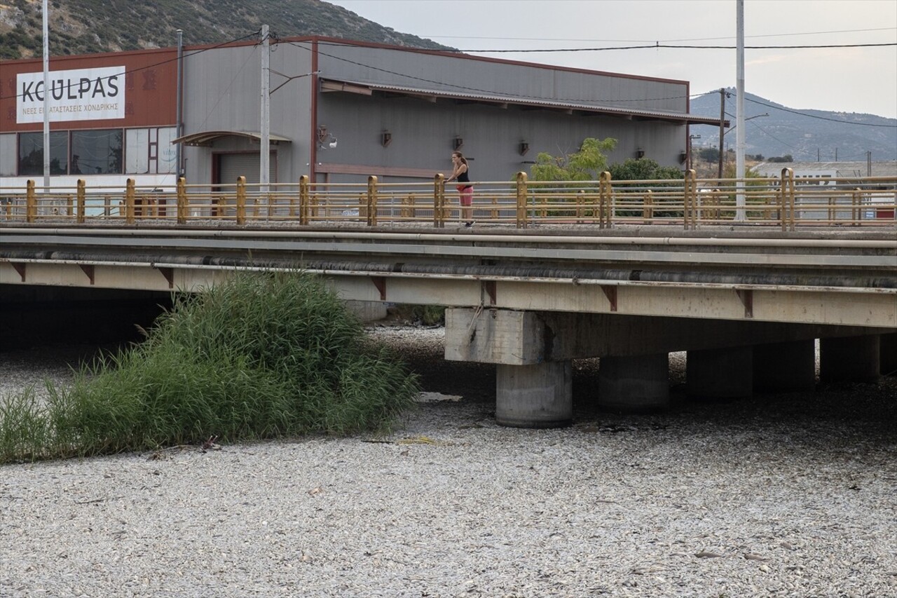 Yunanistan'ın orta kesiminde bulunan Volos kentinde 27 Ağustos'ta binlerce ölü balığın deniz...