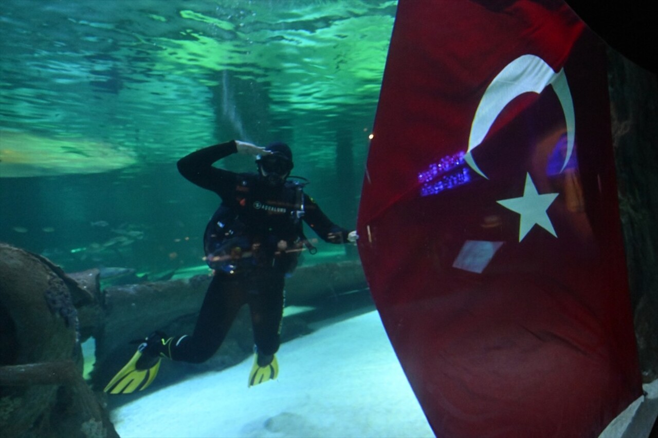 Antalya Akvaryum dalgıçları 30 Ağustos Zafer Bayramı'nı köpek balıklarının yer aldığı ana tankta...