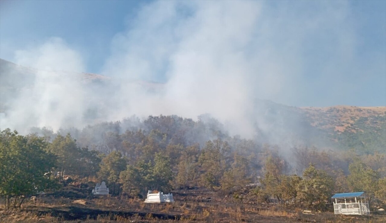 Tunceli'de Sütlüce bölgesi Baldan köyünde ormanlık alanda çıkan yangın söndürülmeye...