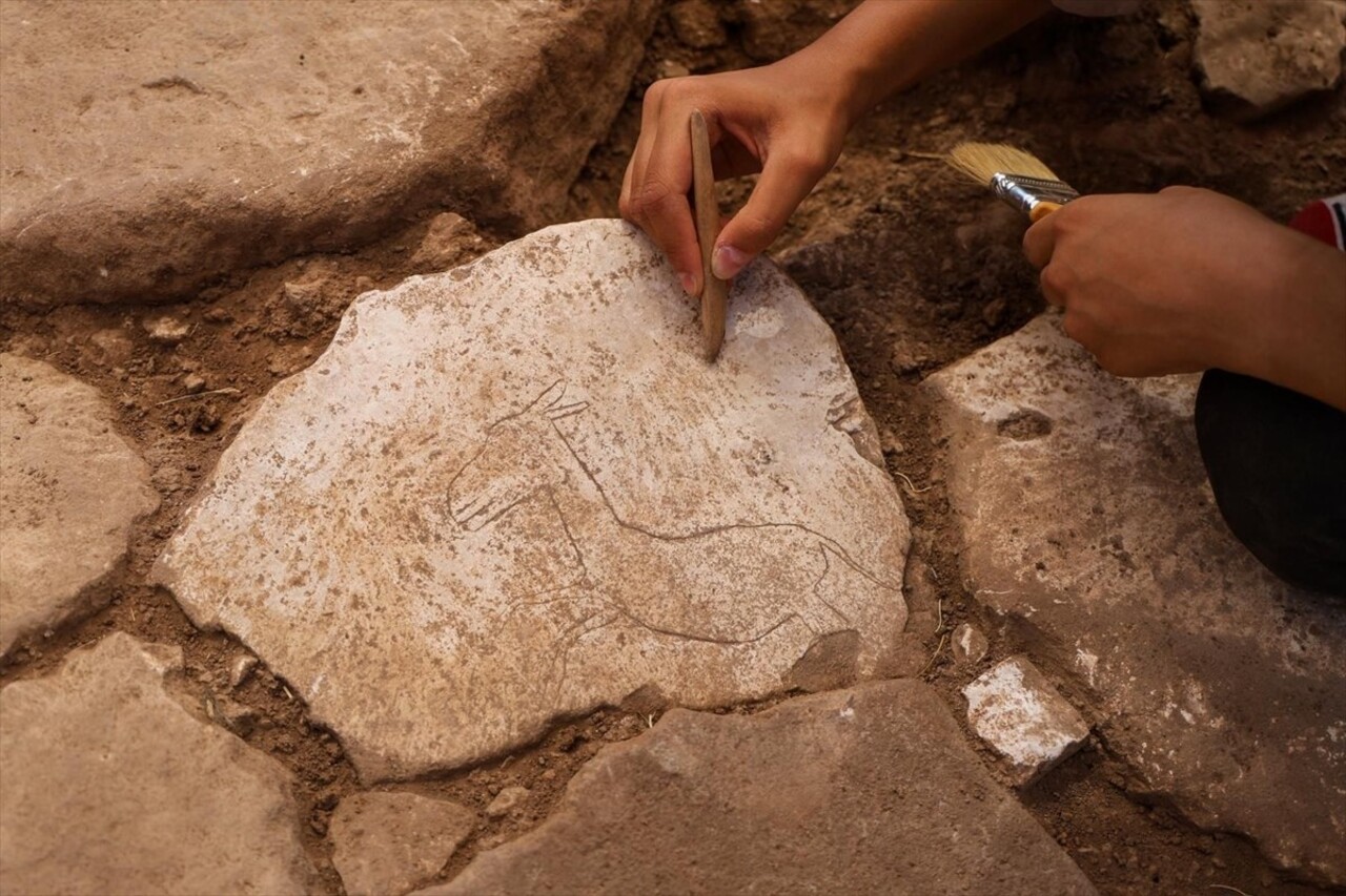 Kültür ve Turizm Bakanı Mehmet Nuri Ersoy, Şanlıurfa Karahantepe'deki bir kulübenin tabanında...