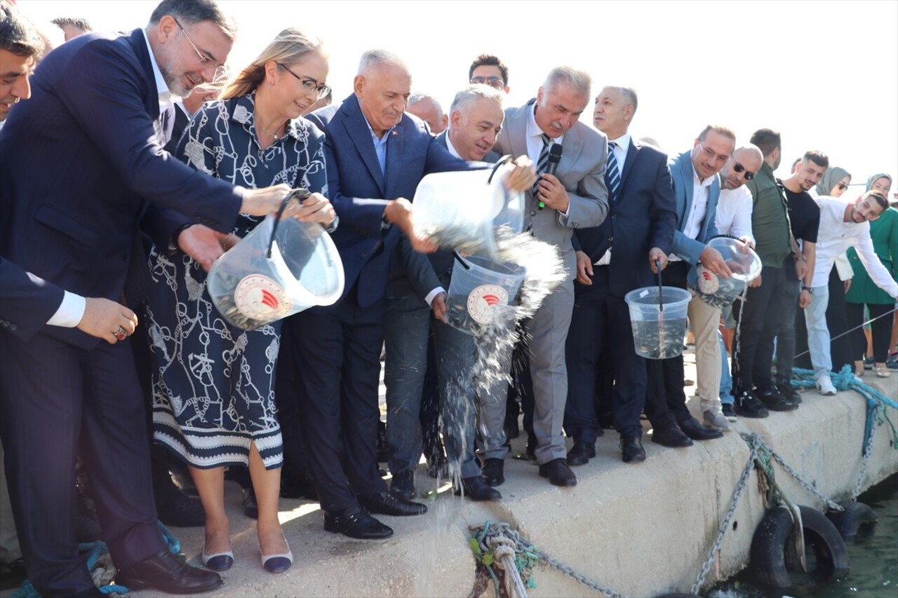 İzmir'de denizlerde avlanma yasağının sona ermesi nedeniyle Güzelbahçe Yalı Balıkçı Limanı'nda su...