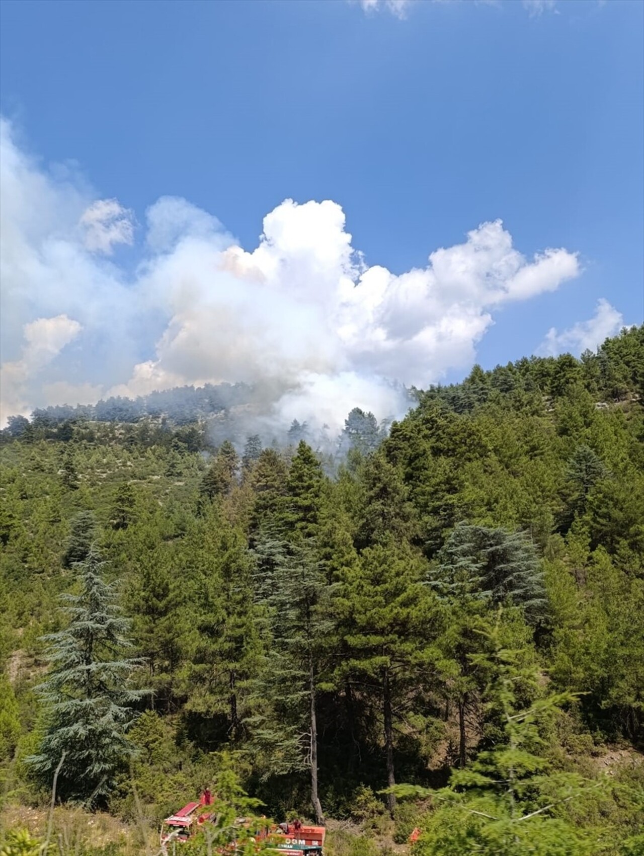 Burdur'un Bucak ilçesinde çıkan orman yangını söndürüldü.