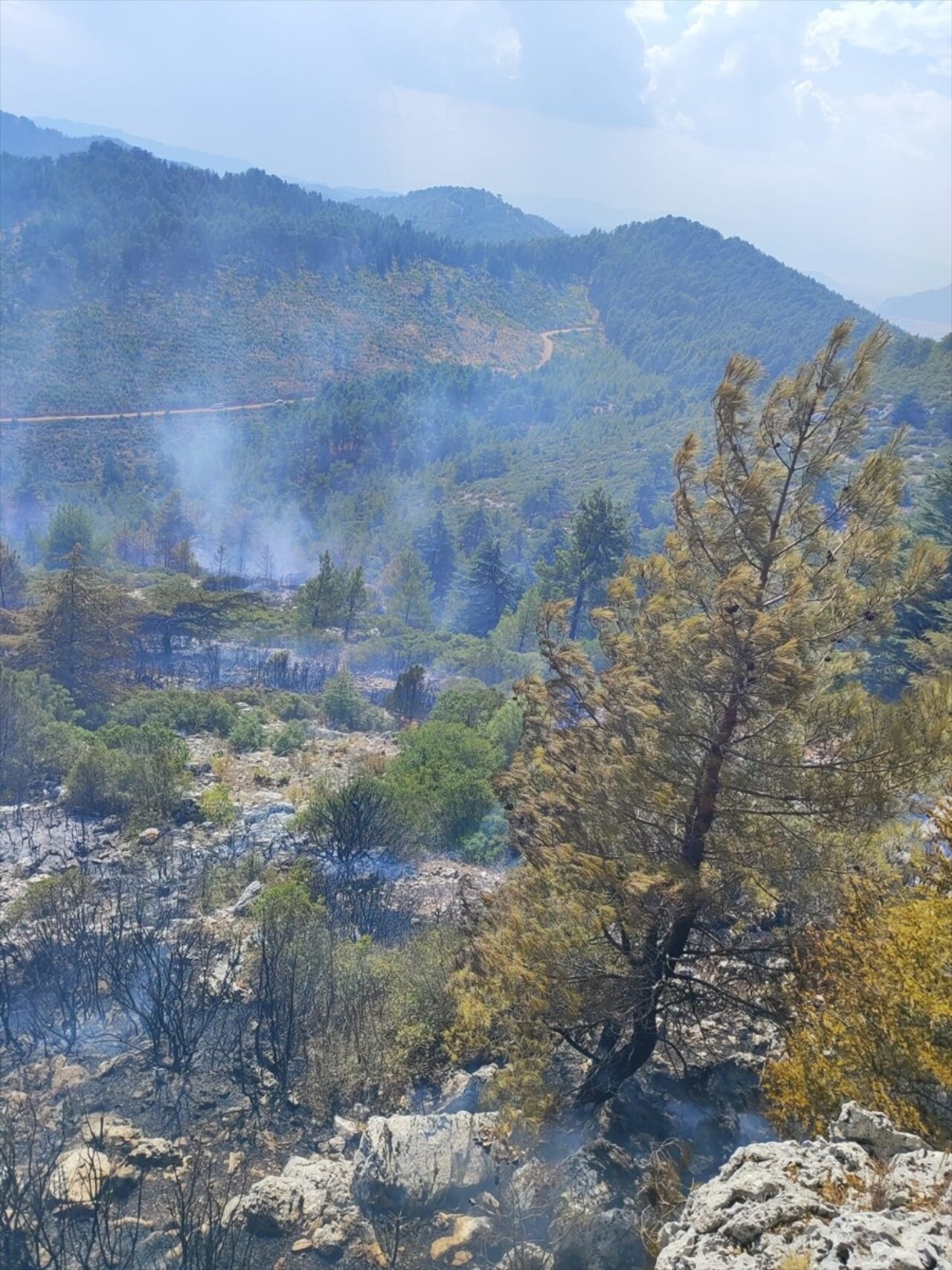 Burdur'un Bucak ilçesinde çıkan orman yangını söndürüldü.