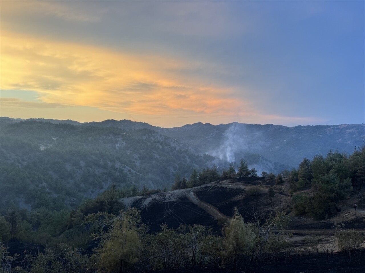  Kahramanmaraş'ın Onikişubat ilçesinde çıkan orman yangınına karadan müdahale ediliyor.