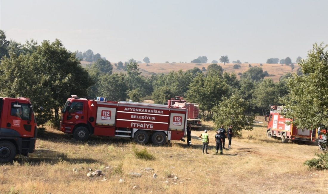 Afyonkarahisar'da Sinanpaşa ilçesindeki ormanlık