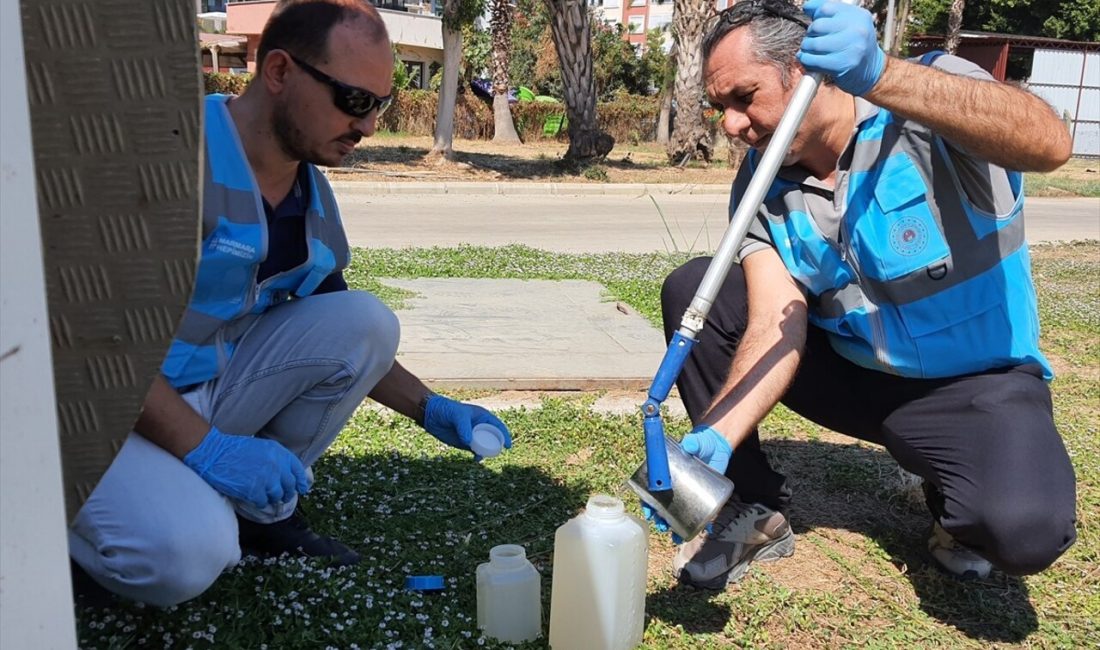 Antalya Büyükşehir Belediyesi, deniz