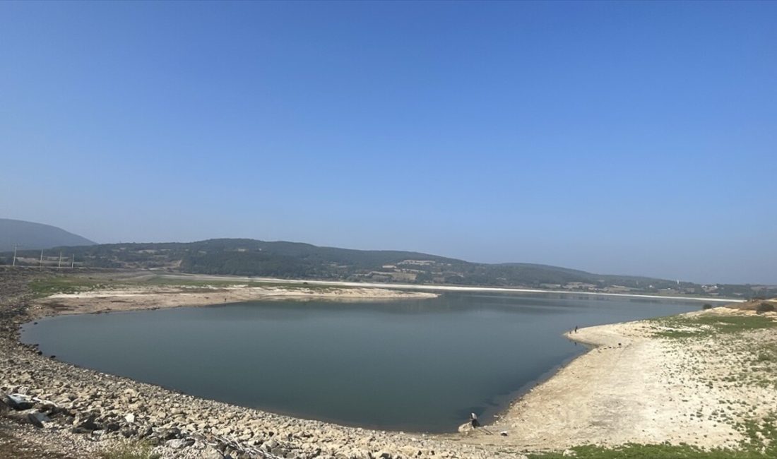 Bolu'daki Gölköy Baraj Gölü'nde