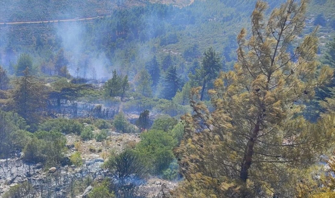 Bucak ilçesindeki Gündoğdu köyünde