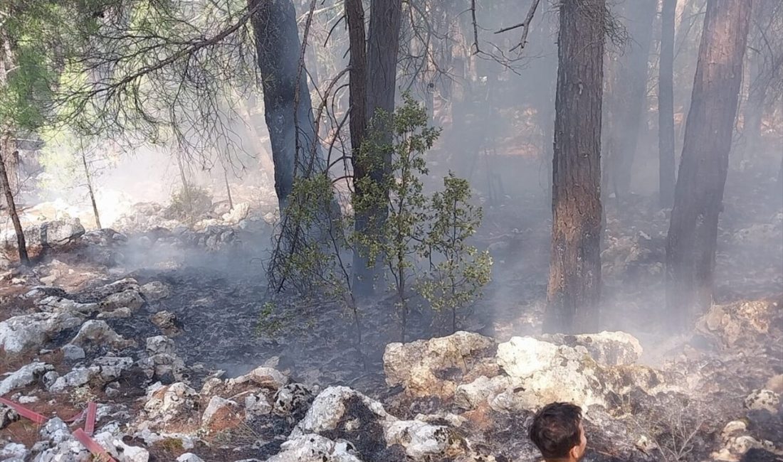 Burdur'un Bucak ilçesinde yıldırım