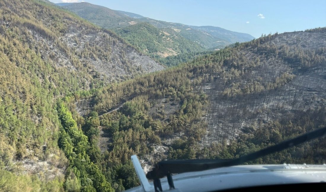 İznik'te çıkan yangın, ekiplerin