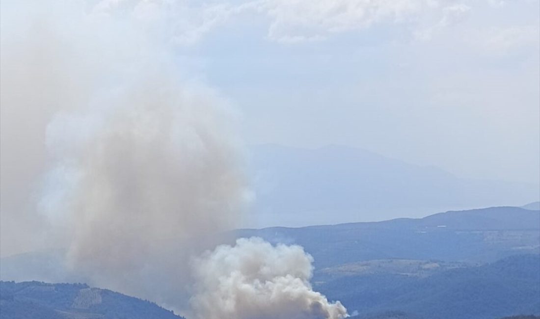 İznik'te çıkan orman yangınına