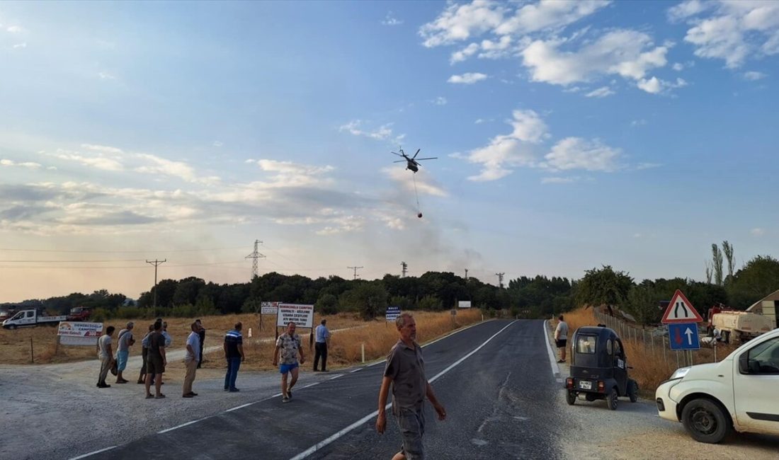 Edirne'nin Keşan ilçesinde çıkan