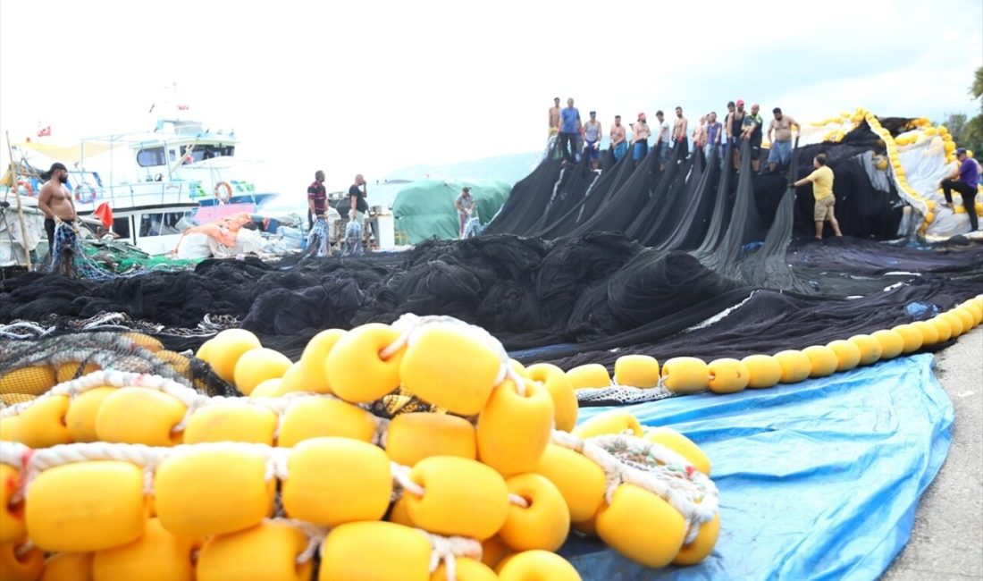 Karadenizli balıkçılar, yeni av