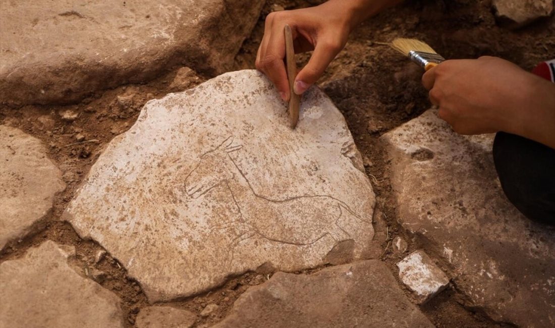 Şanlıurfa'daki Karahantepe'de koşar halde