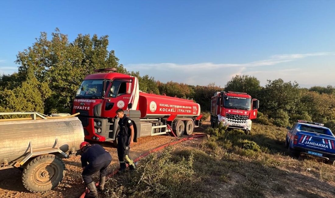 Kocaeli'nin Gebze ilçesinde çıkan