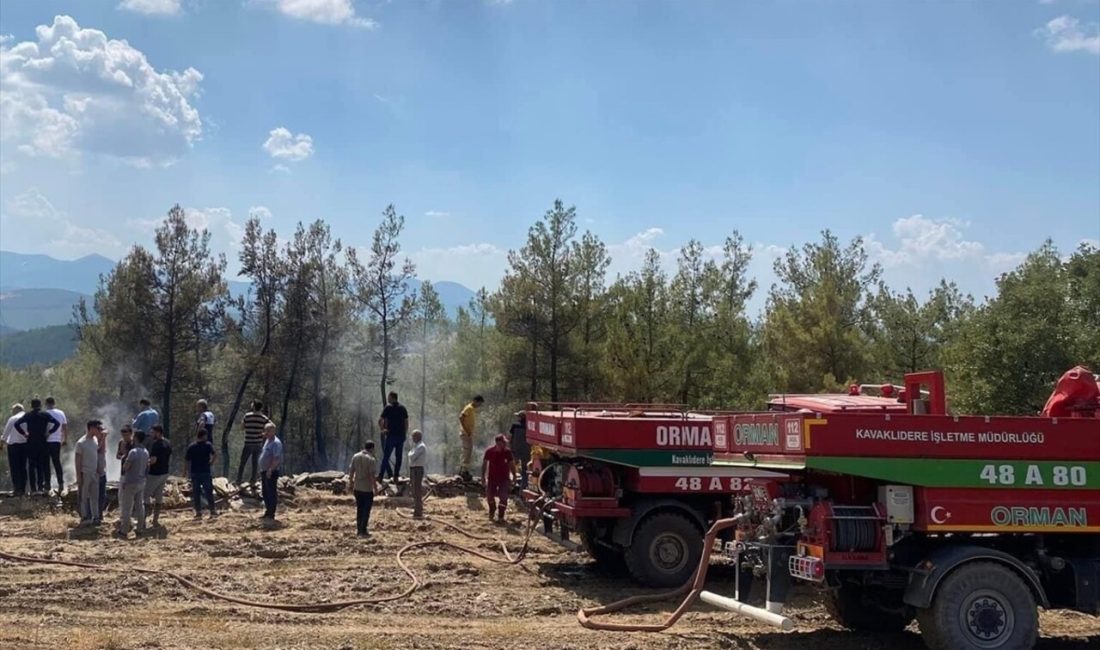 Muğla'nın Kavaklıdere ilçesinde çıkan