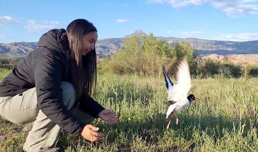 Iğdır'dan Kızıldeniz'e göç eden