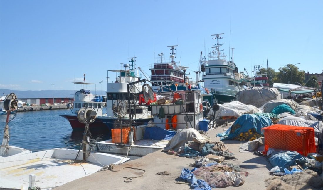 Sakarya ve Kocaeli'deki balıkçılar