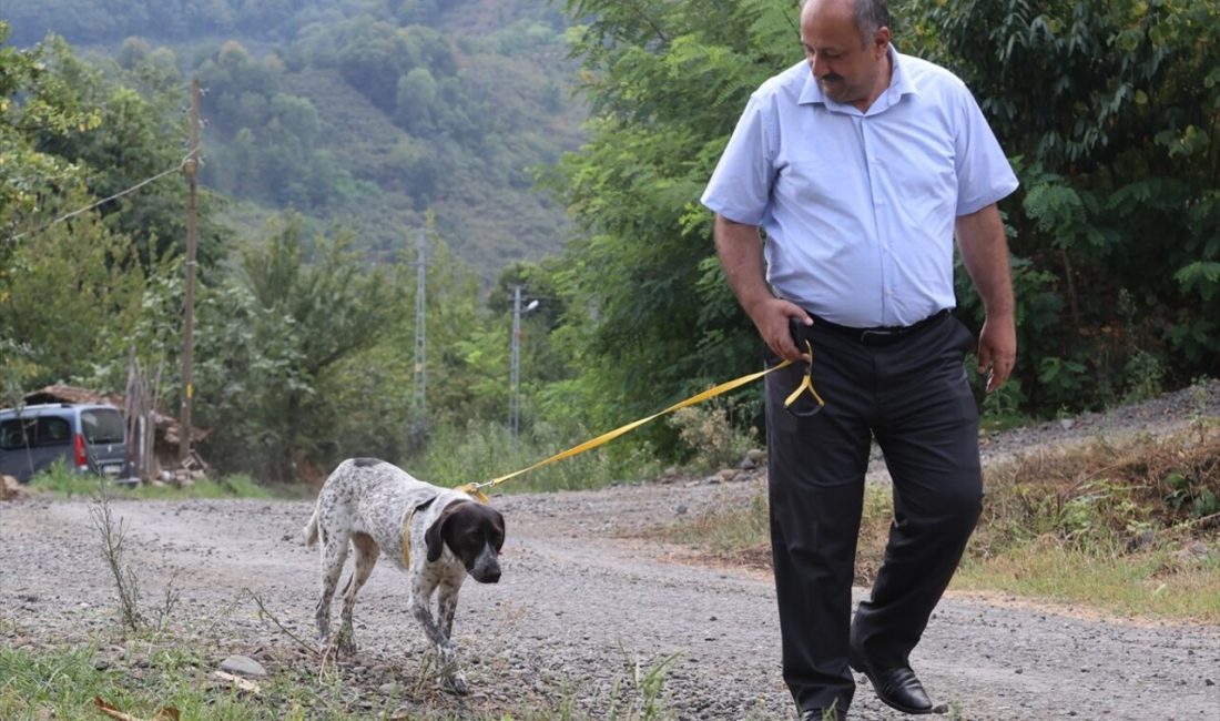 Samsun'un Salıpazarı ilçesi Belediye