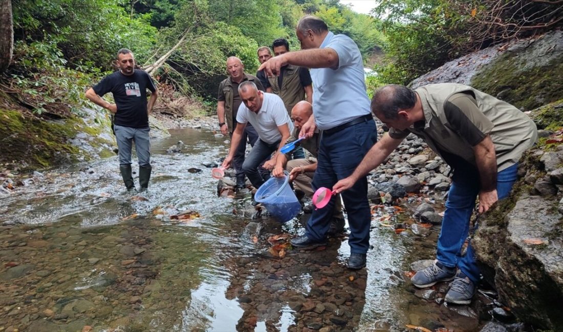 Samsun'un Salıpazarı ilçesinde 5