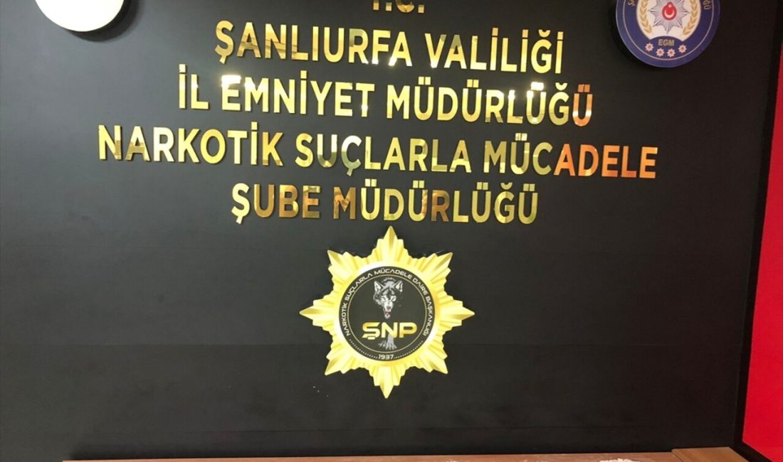 Şanlıurfa'da yapılan uyuşturucu operasyonlarında