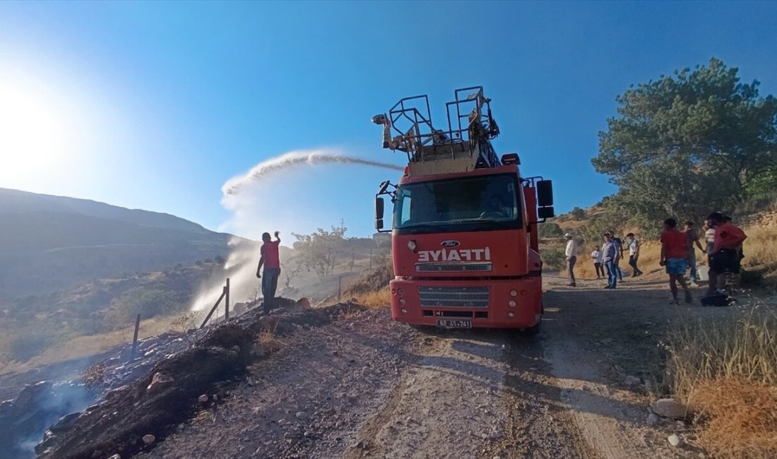 Çemişgezek’teki otluk alanda çıkan