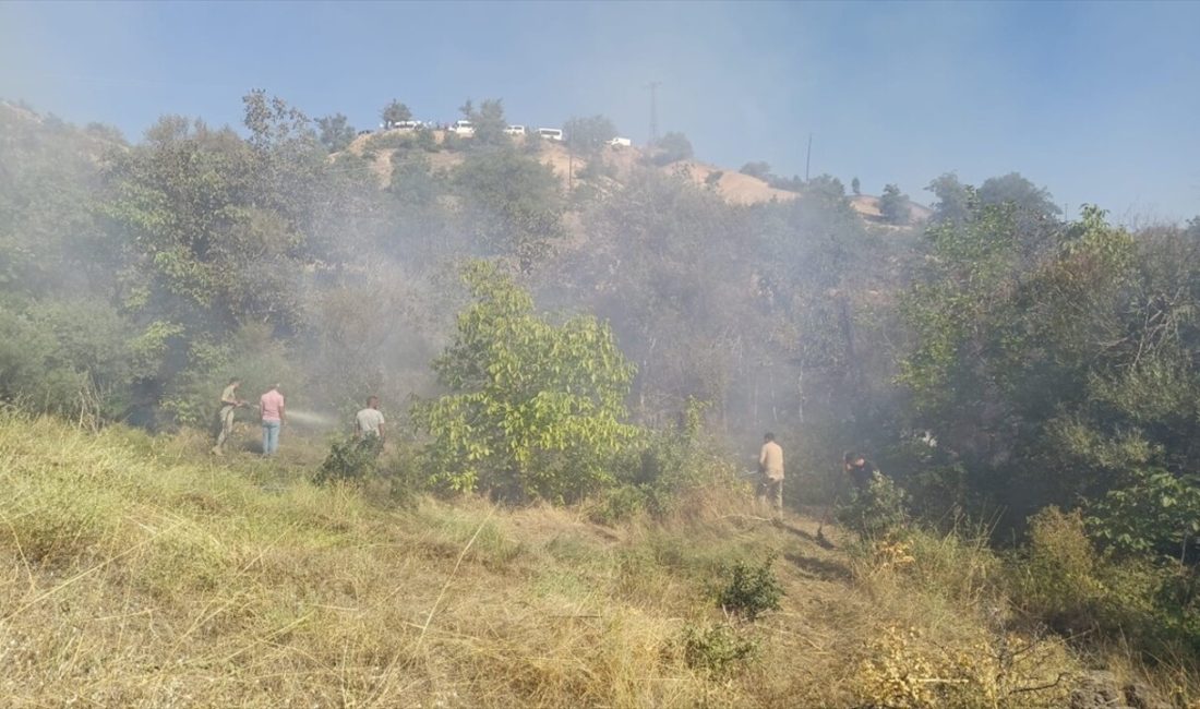 Tunceli'de ormanlık alanda çıkan